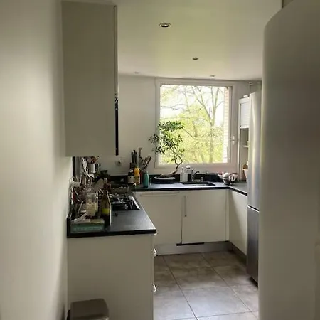 En Face De Paris, Les Arbres Apartment Saint-Maurice (Val-de-Marne)