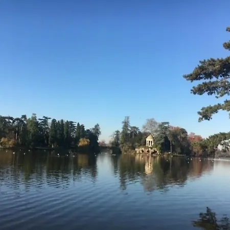 Apartment En Face De Paris, Les Arbres